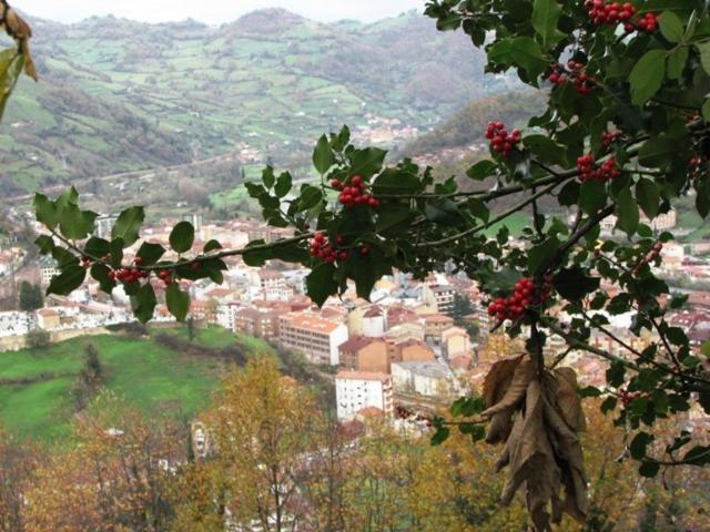 Hotel Ruta De La Plata De Asturias Pola de Lena Bagian luar foto