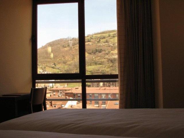 Hotel Ruta De La Plata De Asturias Pola de Lena Bagian luar foto